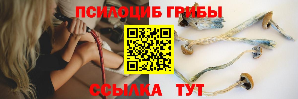 хочу   Псилоцибиновые грибы прущие грибы  Вход с VPN  Заводоуковск 